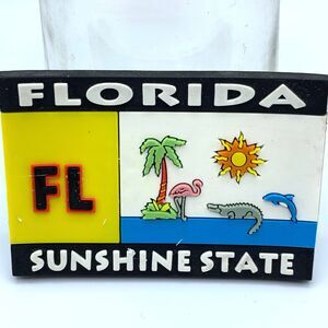 Florida FL Sunshine State Rubber Souvenir Fridge Magnet 3"
